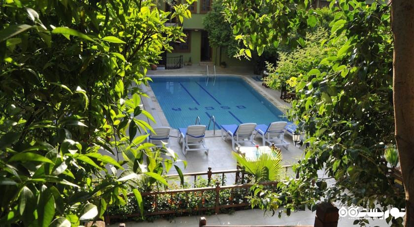 دورنمای استخر  هتل اسکار